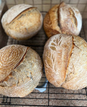 Load image into Gallery viewer, Plain Jane Sourdough Bread classic Preorder
