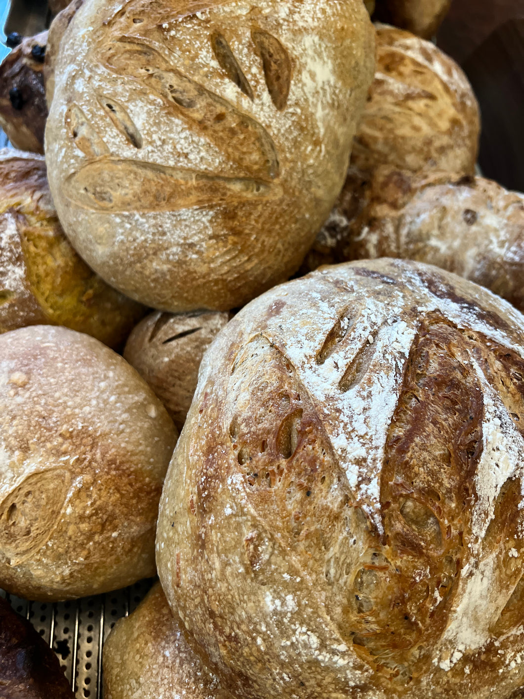 Plain Jane Sourdough- Frozen