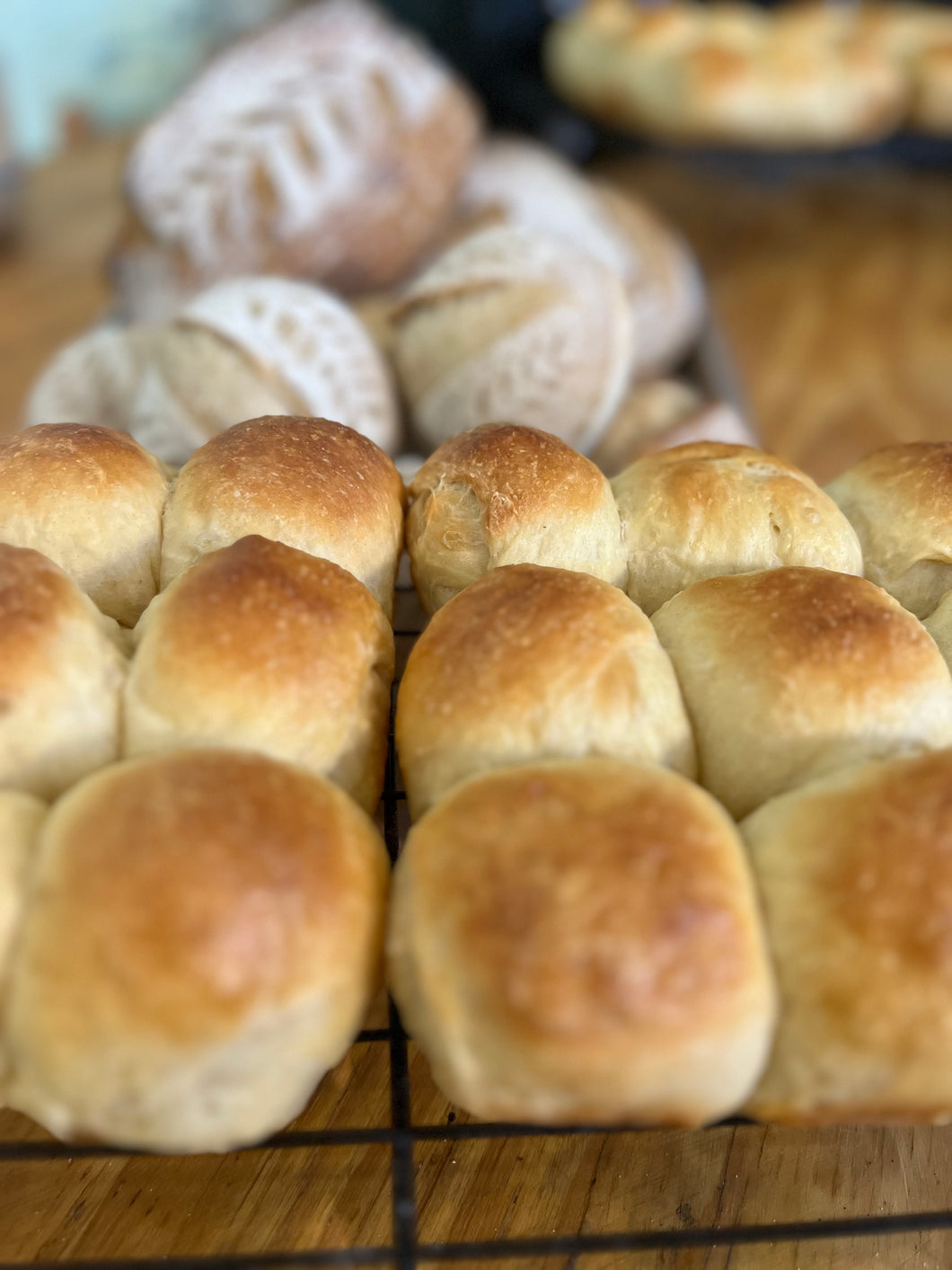 THANKSGIVING PREORDER Soft Rolls